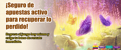 Mi Casino: Acceso inmediato